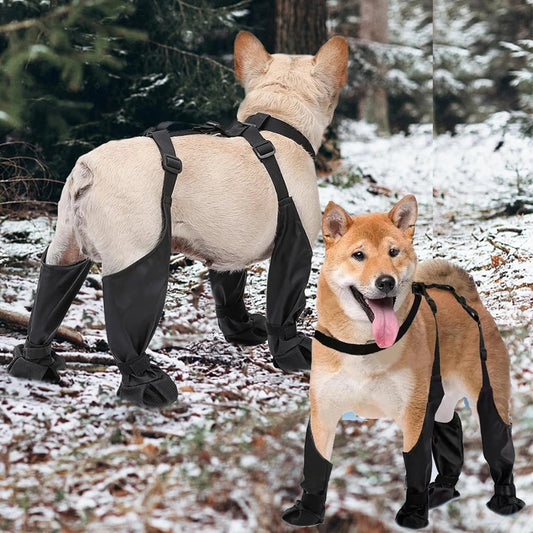 Stay-On Waterproof Dog Boots with Suspenders – Non-Slip Paw Protection